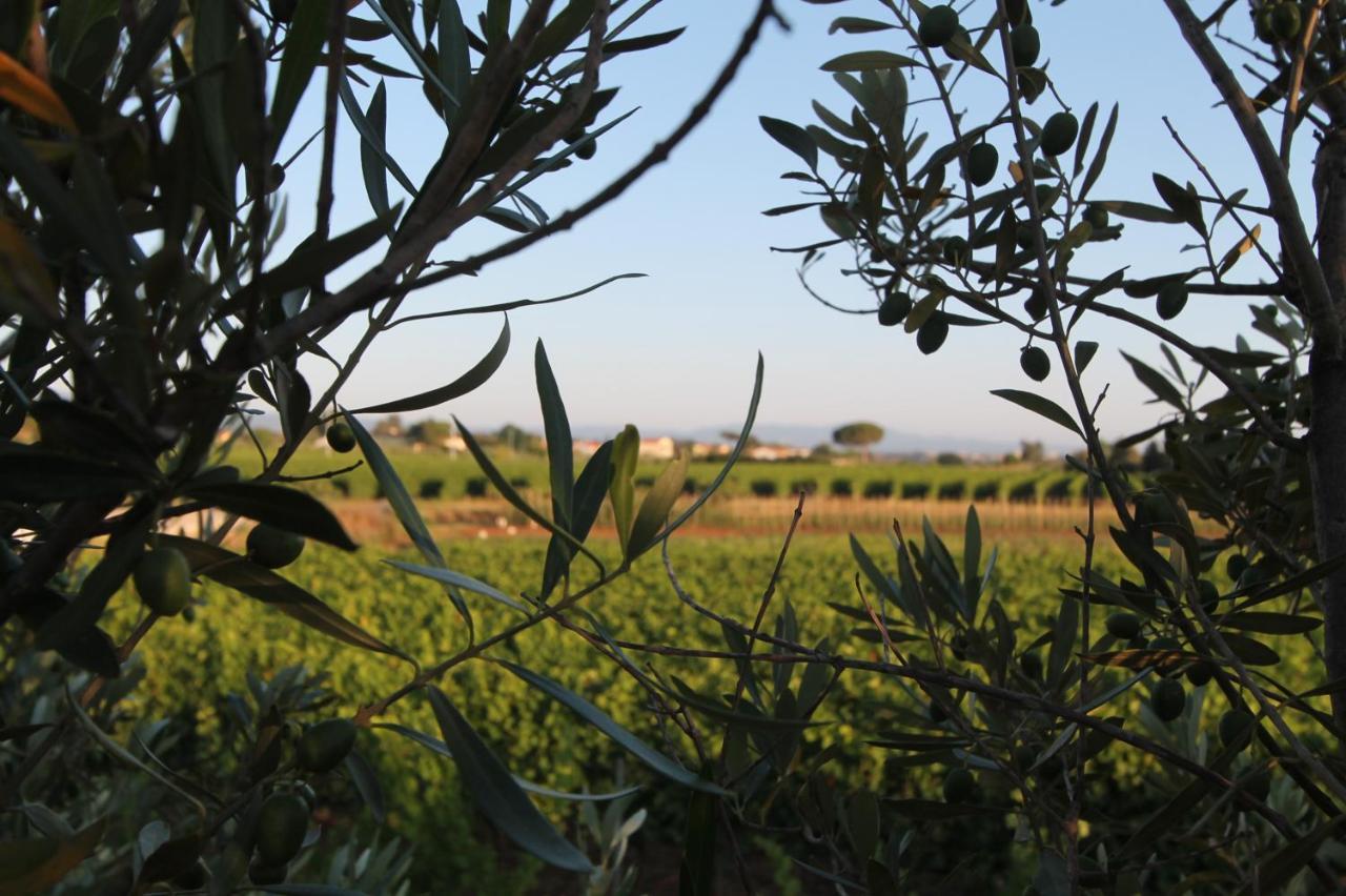 Agrihotel Elisabetta Collemezzano Extérieur photo